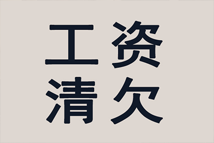 美团借款违约可能面临何种刑罚？